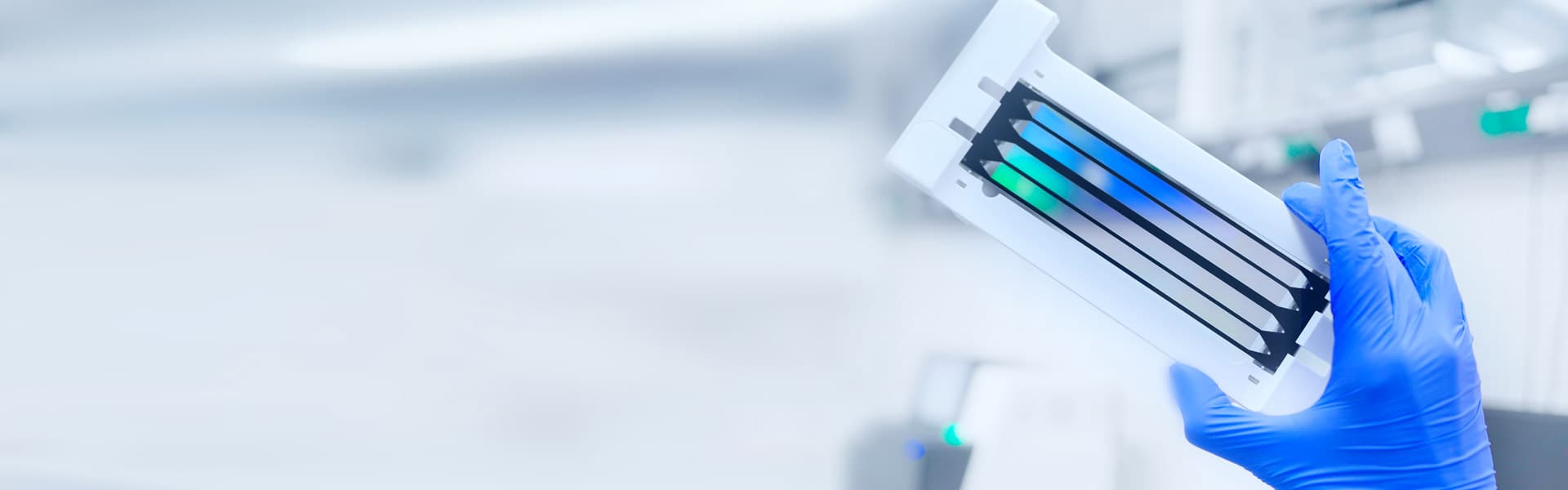 Massenspektrometrie (LCMS/MS)