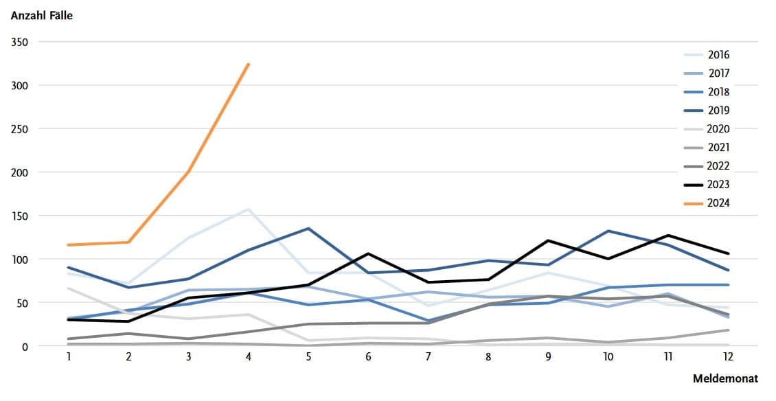 Die Grafik zeigt die monatlichen Denguefieber-Fallzahlen in Deutschland von 2016 bis 2024. Die Linien der Jahre 2016 bis 2019 und 2023 sind in verschiedenen Blautönen dargestellt, die Jahre 2020 bis 2022 in Grautönen und das Jahr 2024 in Orange. Die Fallzahlen steigen im Jahr 2024 besonders stark an, mit über 300 Fällen im dritten Monat, während die Vorjahre deutlich niedrigere Werte aufweisen.