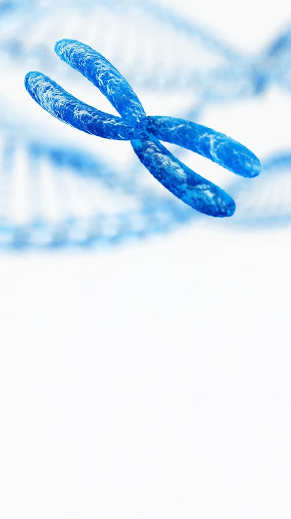 Darstellung eines Chromosoms mit DNA-Helix im Hintergrund